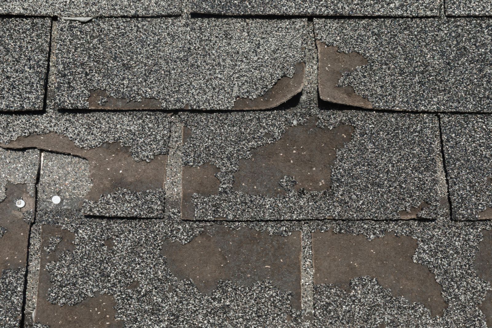 Square1 Construction LLC Images